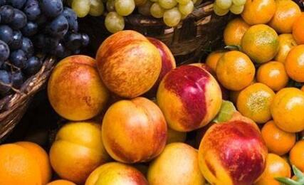 果蔬呼吸測(cè)定儀 果蔬呼吸測(cè)定儀