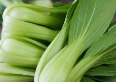 植物冠層分析儀如何助力農業(yè)研究?