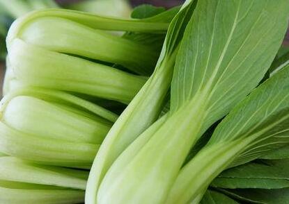 1611824010798976.jpg QQ截圖20210128154559.jpg